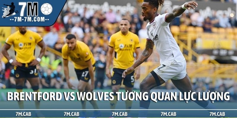 Soi kèo Brentford vs Wolves về tương quan lực lượng